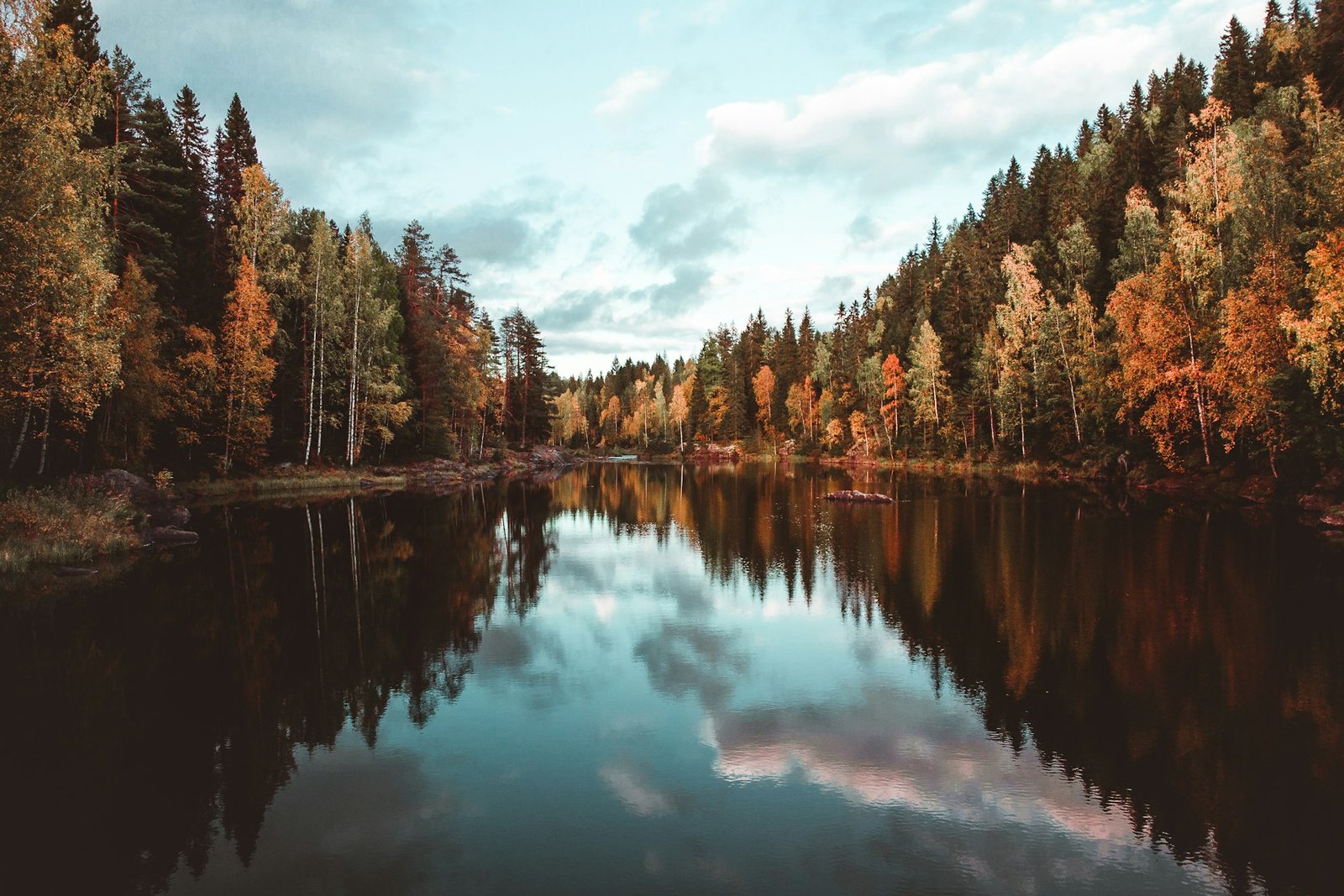 Scenic view of a lake surrounded by a green pine forest